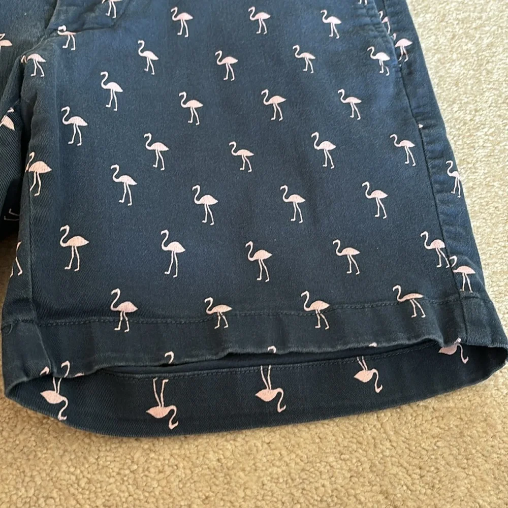 J. Crew Shorts